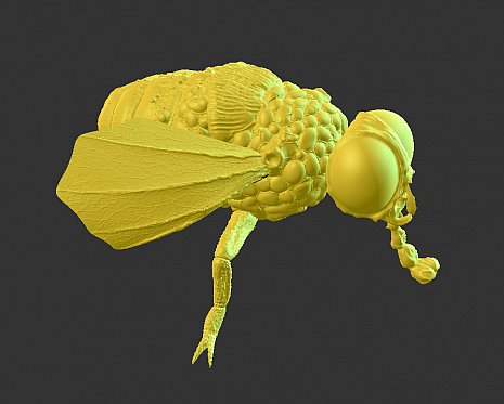 Хайполи модель мухи для снятия карты нормалей