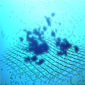 Создание дополнительных спецэффектов в окружающем пространстве делает картинку более естественной, натуральной и детализированной.