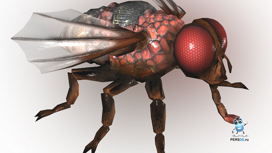 лоуполи модель мухи для игры SZone Online