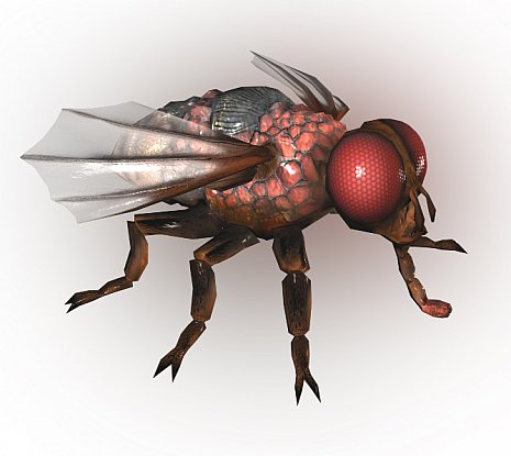 лоуполи модель мухи для игры SZone Online